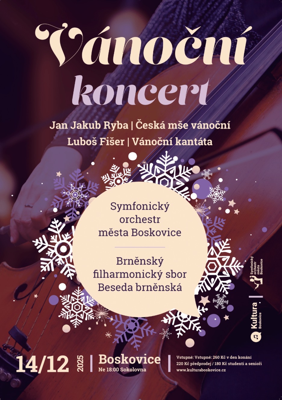 VÁNOČNÍ KONCERT